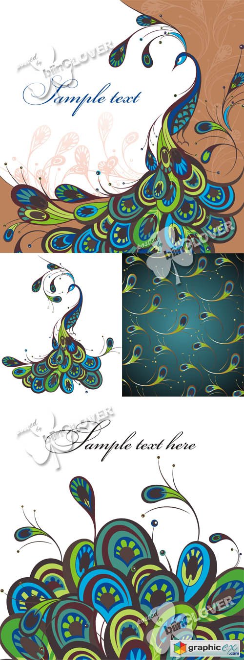 Vector Peacock feathers background 0508