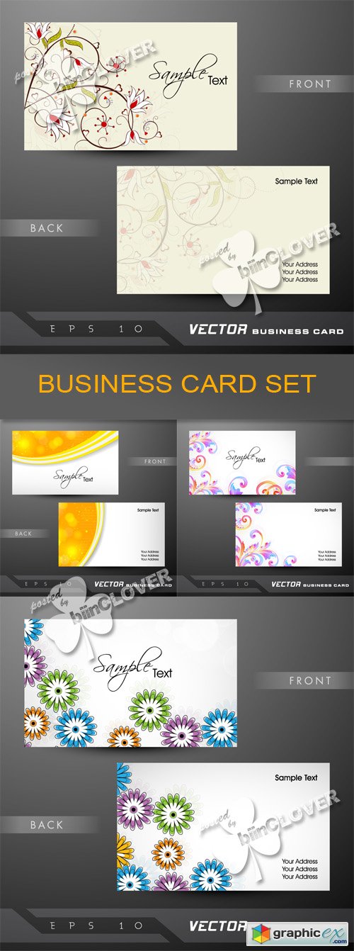 Vector Business card set 0506