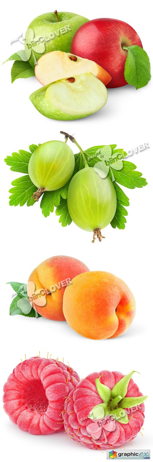 Stock Image Fruits and berries 0494