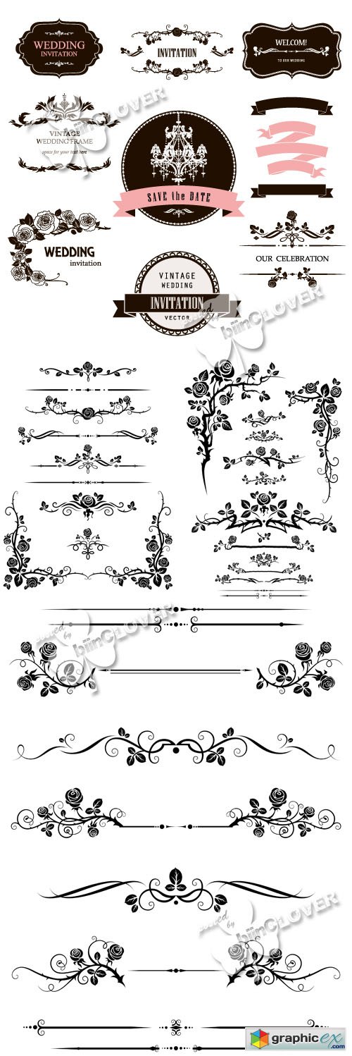 Vector Wedding calligraphic elements 0478