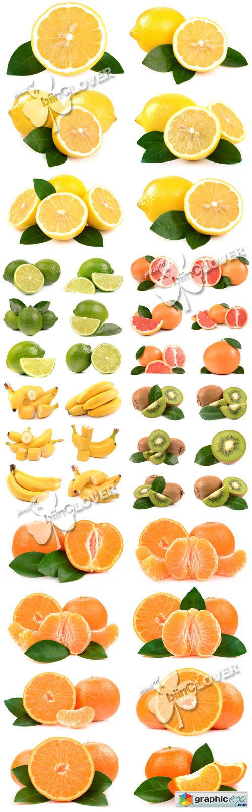 Fruits and citrus 0440