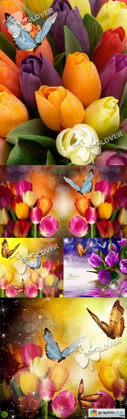 Beautiful flowers bouquets 0429