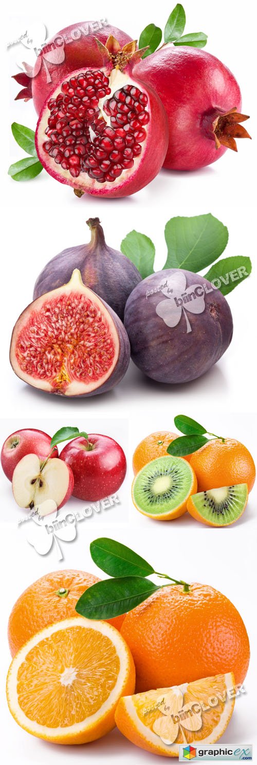 Set of fresh tropical fruit 0428