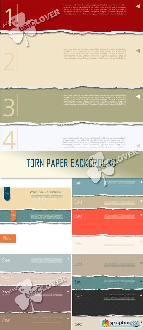 Vector Torn paper background 0320