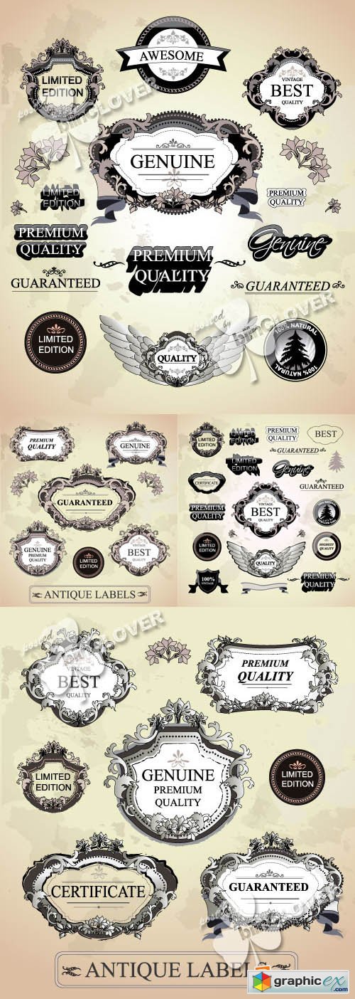 Vector Calligraphic design elements 0385