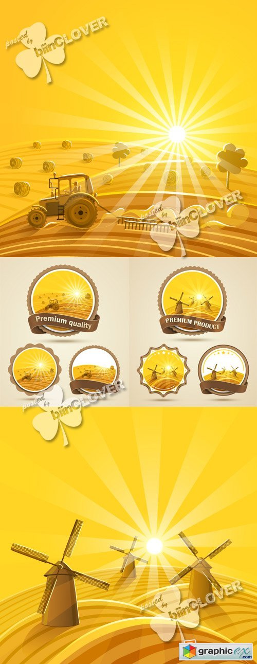 Vector Cereal harvest labels and cards 0557