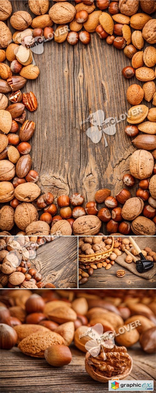 Vector Assorted nuts 0381