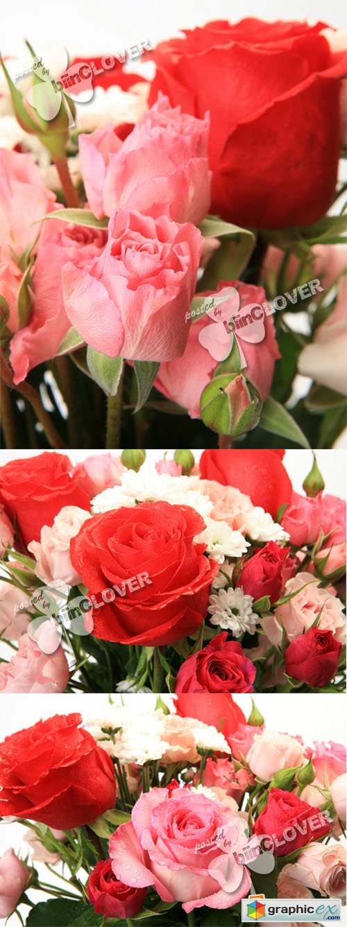 Bouquet of roses 0380