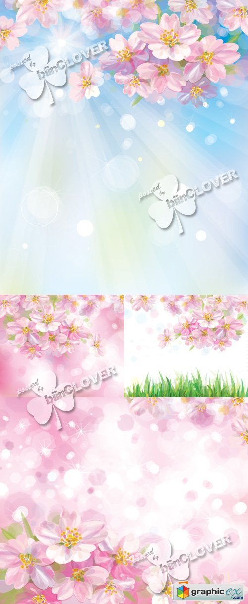 Vector Spring blossoming tree 0378
