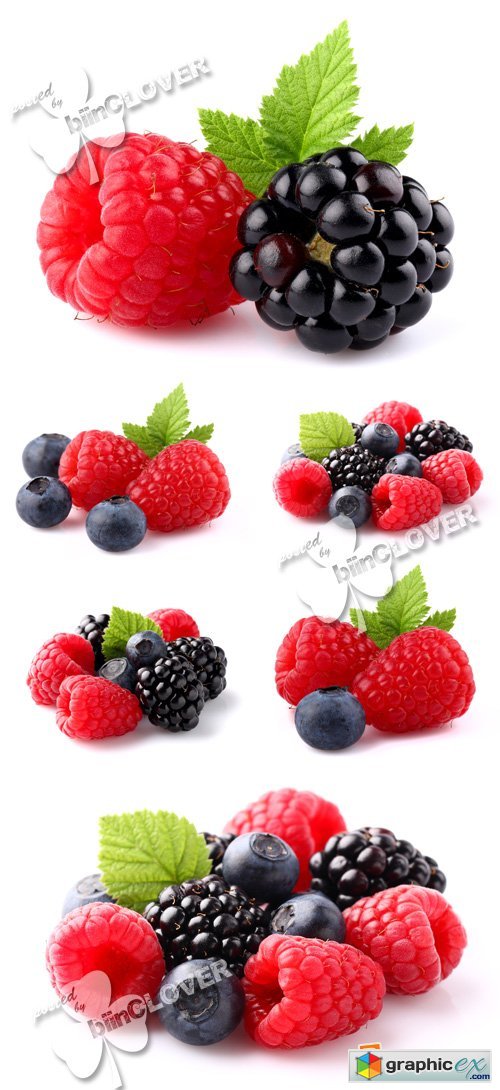 Raspberry with blueberry 0372