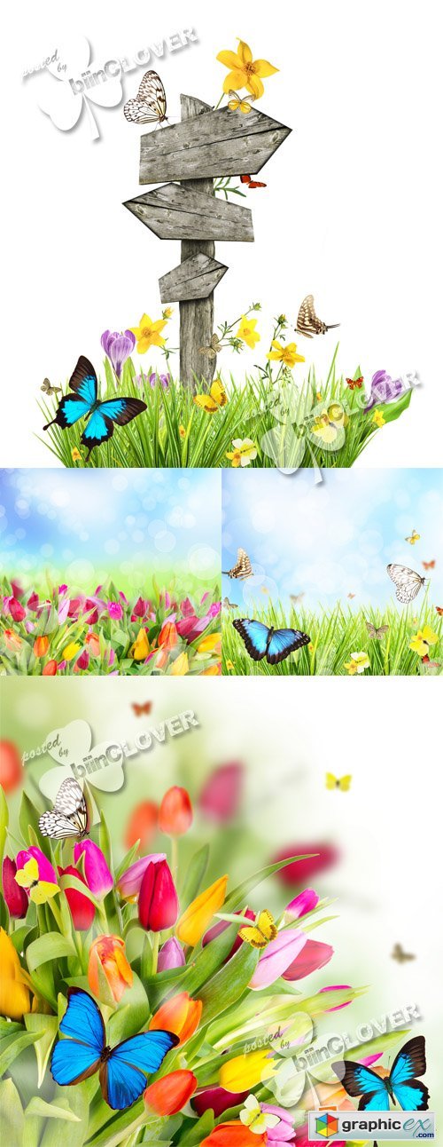 Floral meadow with butterflies 0364
