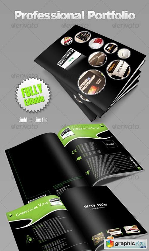 Professional Designer Portfolios