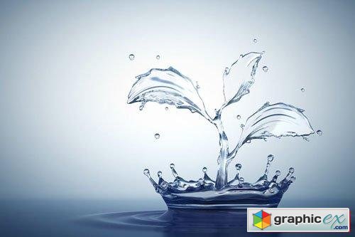 Water splash in form of plant