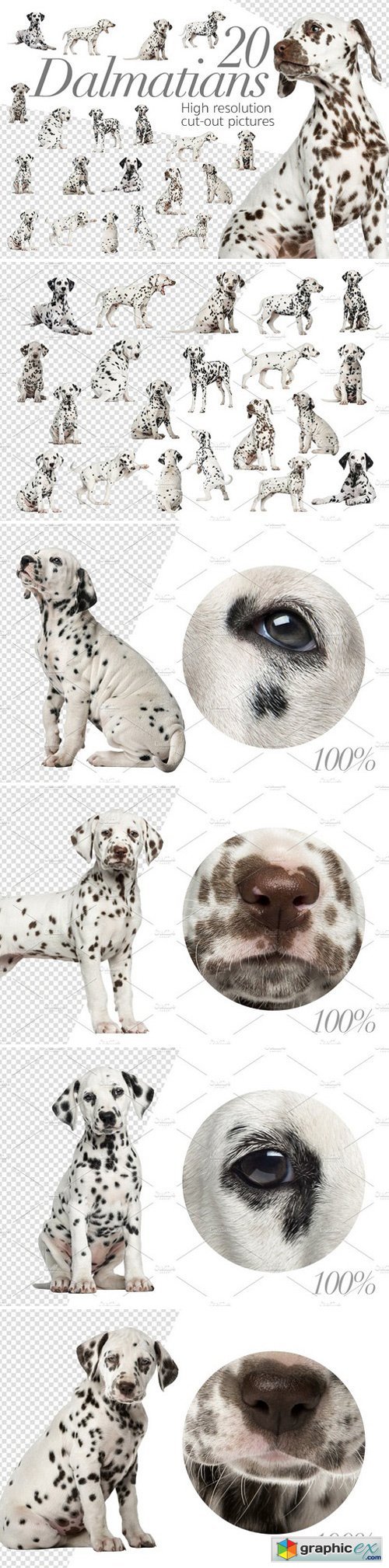 20 Dalmatians - Cut-out Pictures