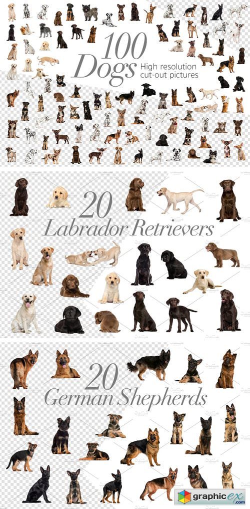 100 Dogs Bundle - Cut-out Pictures