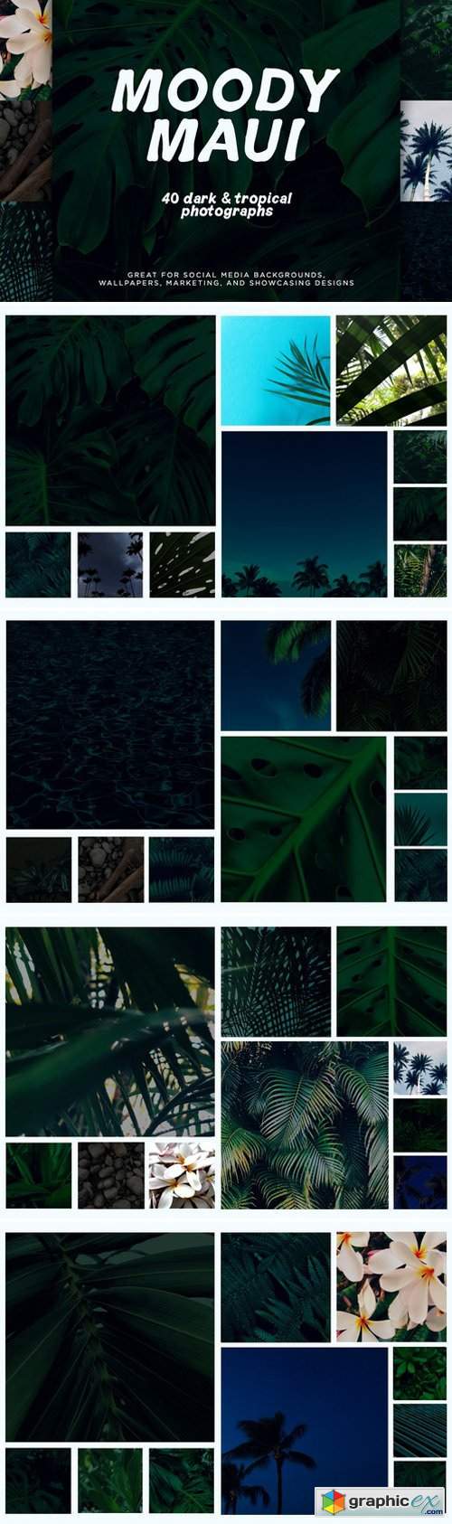 Tropical Photo Pack: Moody Maui