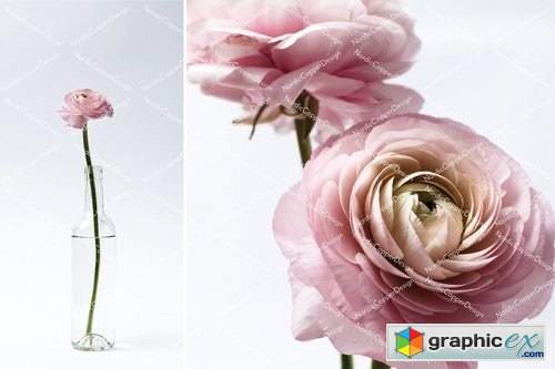 Dusty Pink Floral Styled Stock