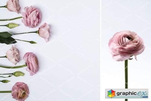 Dusty Pink Floral Styled Stock