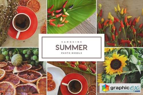 Sanguine Summer Photo Bundle