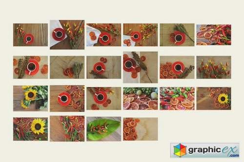 Sanguine Summer Photo Bundle