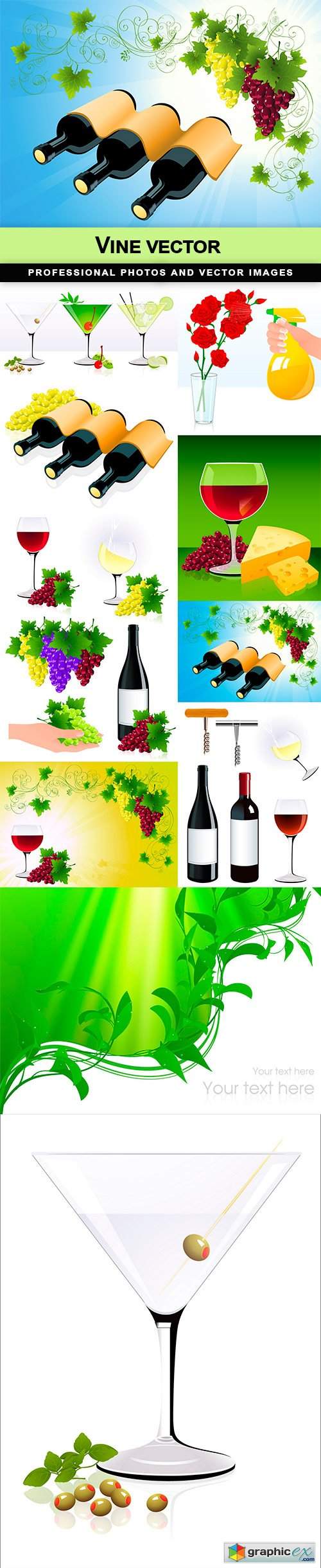  Vine vector - 10 EPS 