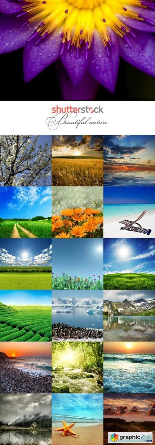 Beautiful nature raster graphics