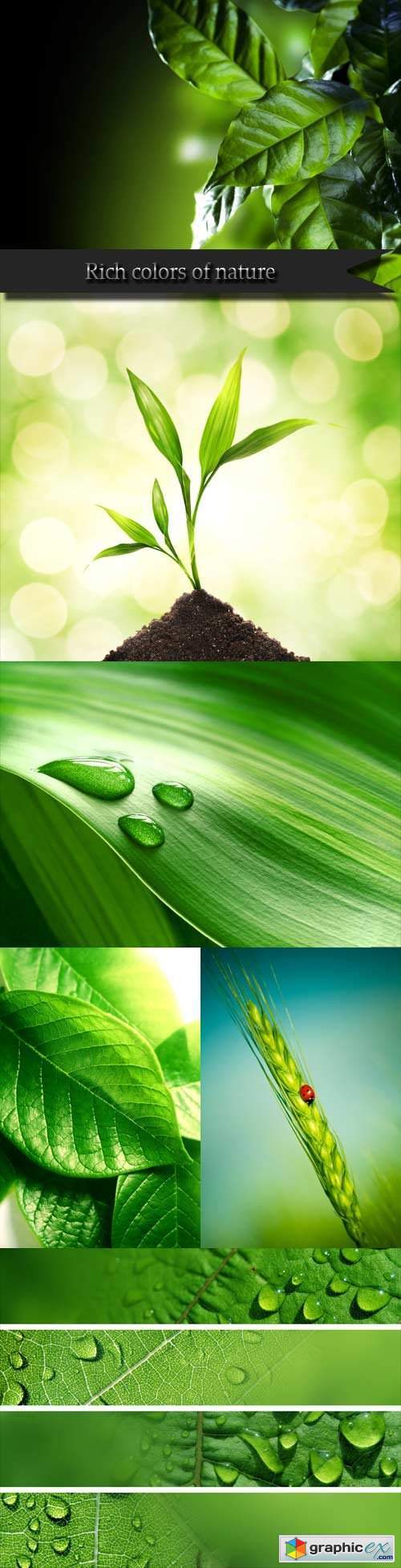 Rich colors of nature