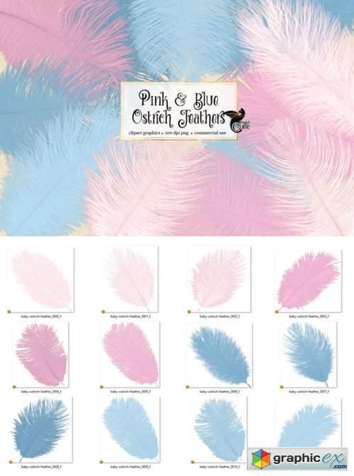Pink and Blue Ostrich Feathers Clipart