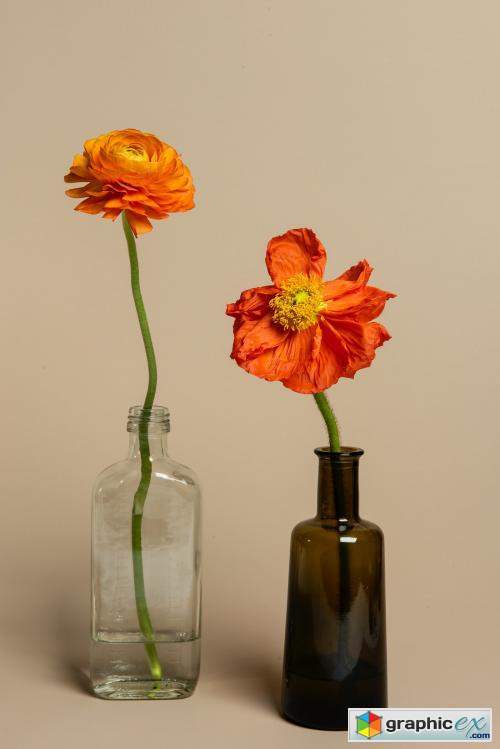 Blooming orange ranunculus flowers in a bottle vase