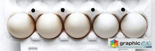 Fresh organic raw eggs in a carton