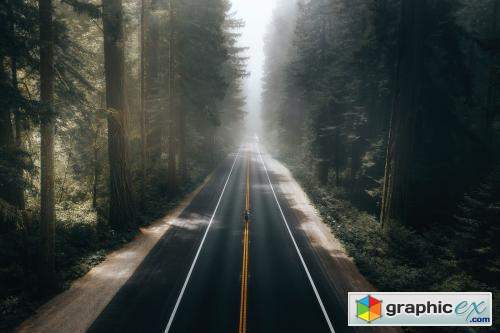 Scenery country road in the Californian forest background