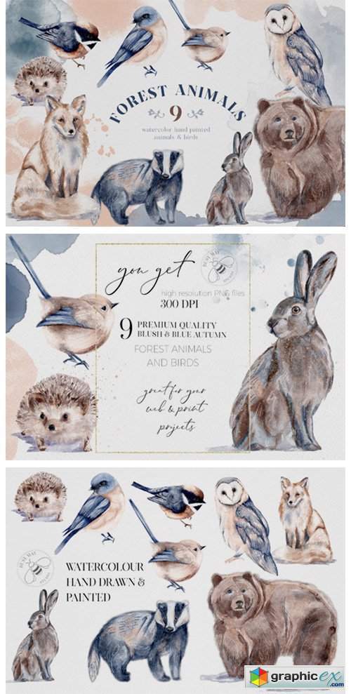 Watercolor Forest Animals Birds Owl