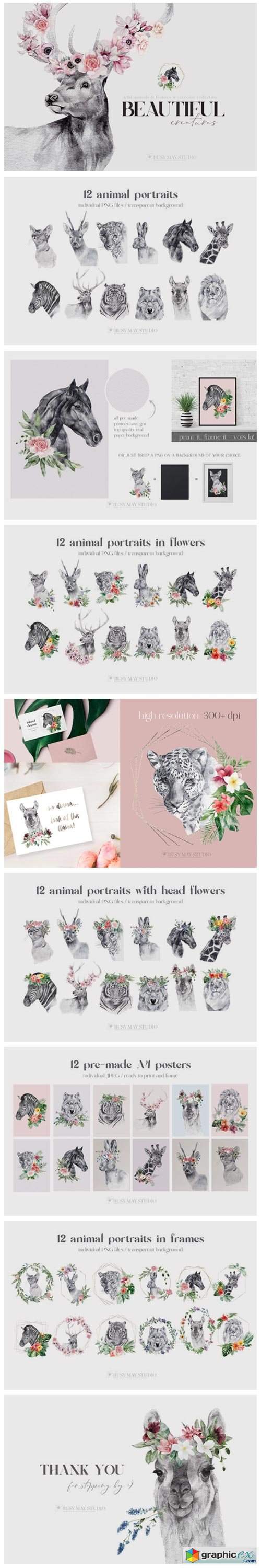 Watercolor Animal Portraits and Flowers