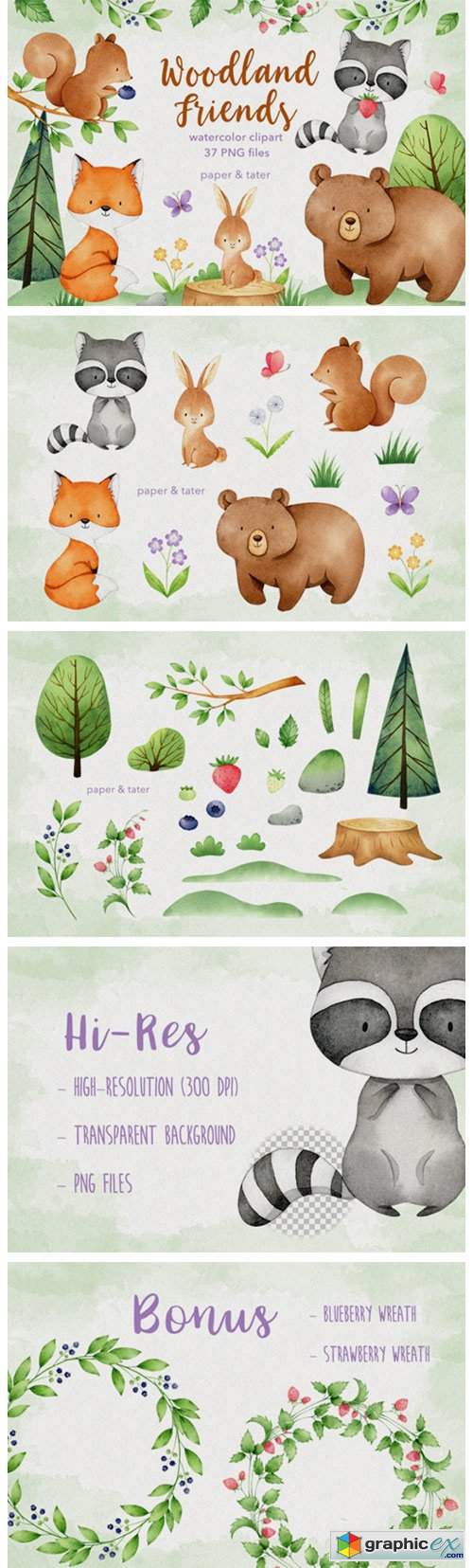  Watercolor Woodland Animals Clipart Set 