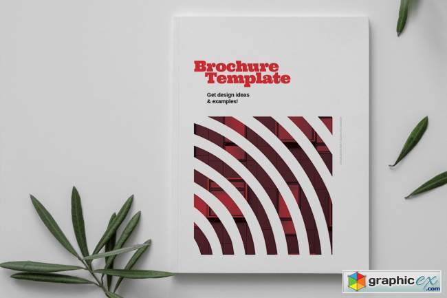  Red Business Brochure Template 6083779