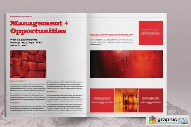  Red Business Brochure Template 6083779