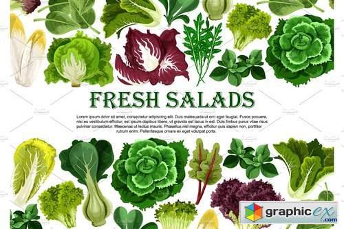 Salad leaf, vegetable greens banner border design 1956132