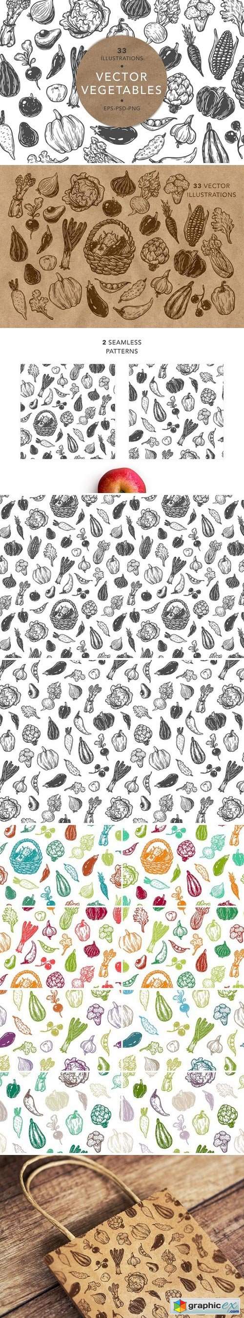 Vector Vegetables. Illustrations. 
