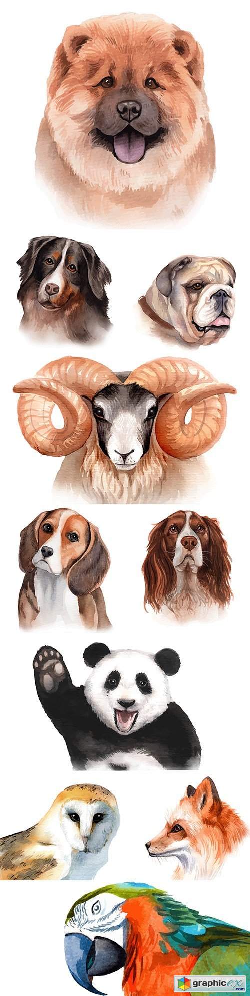  Animals and birds painted watercolor illustrations 