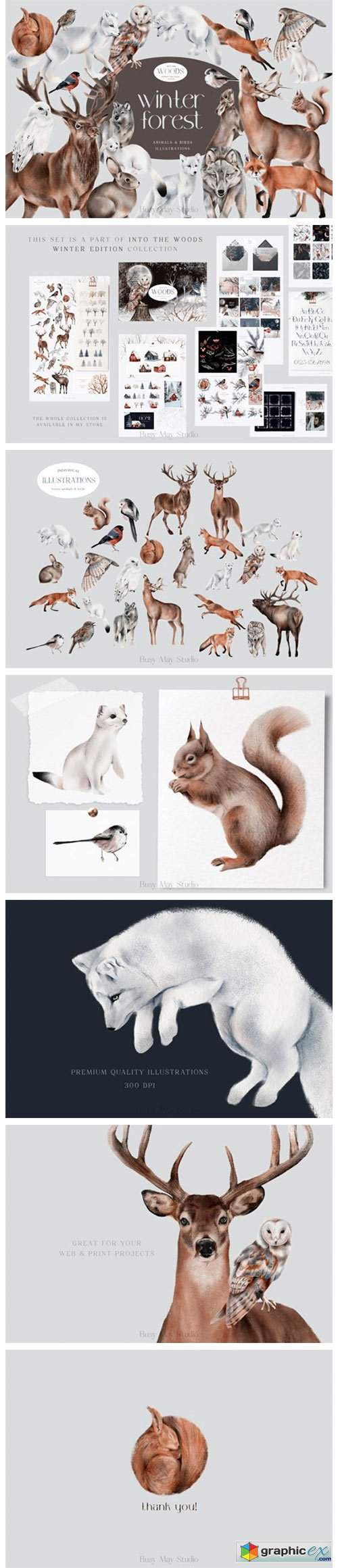  Winter Forest Animals and Birds PNG 