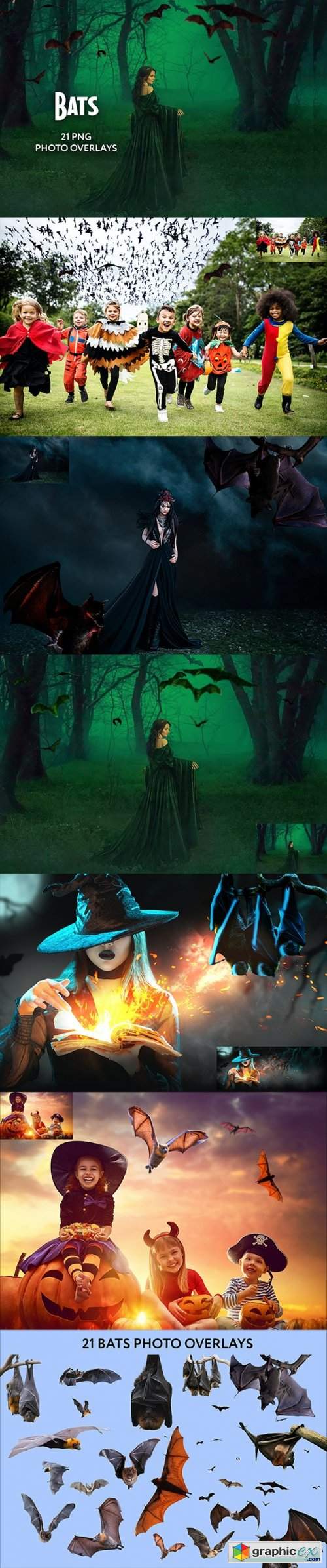  20 Bat Photo Overlays 