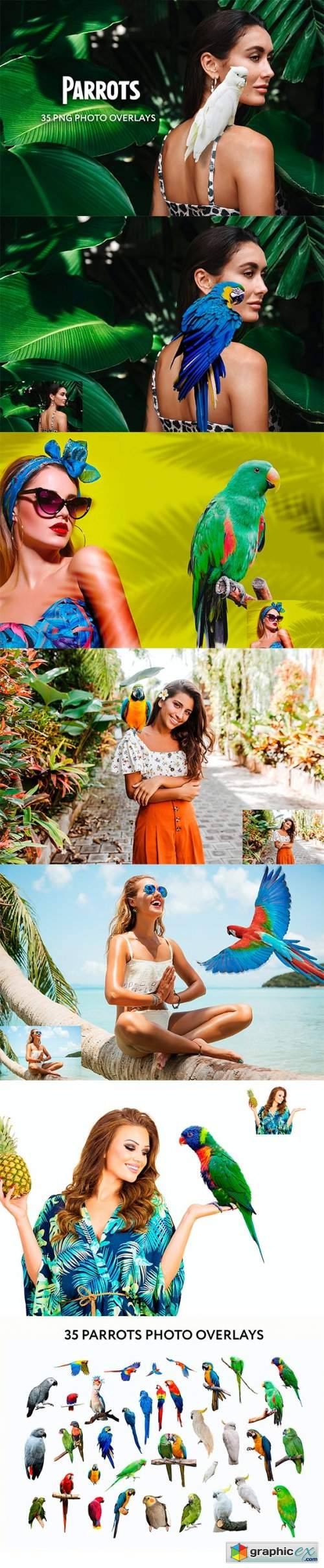 35 Parrots Photo Overlays 