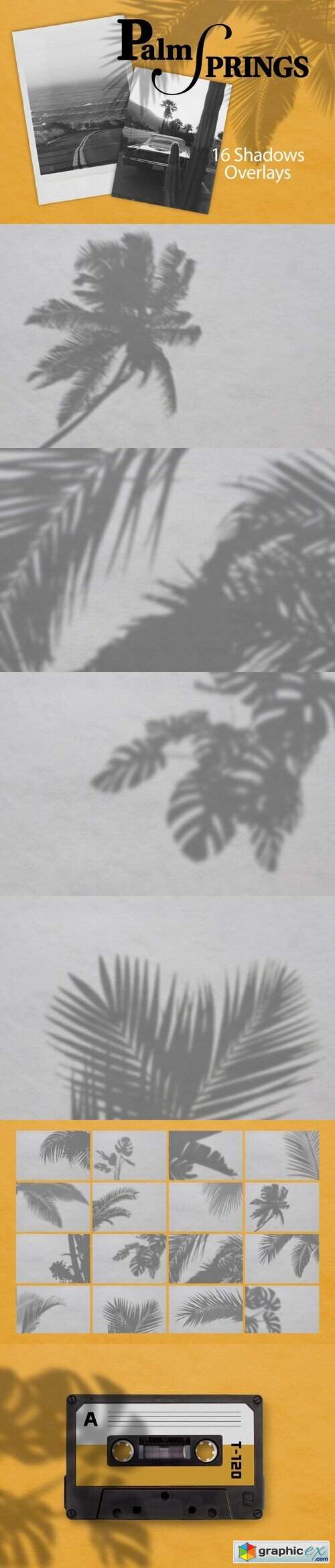 PALM SPRING | SHADOW OVERLAYS 