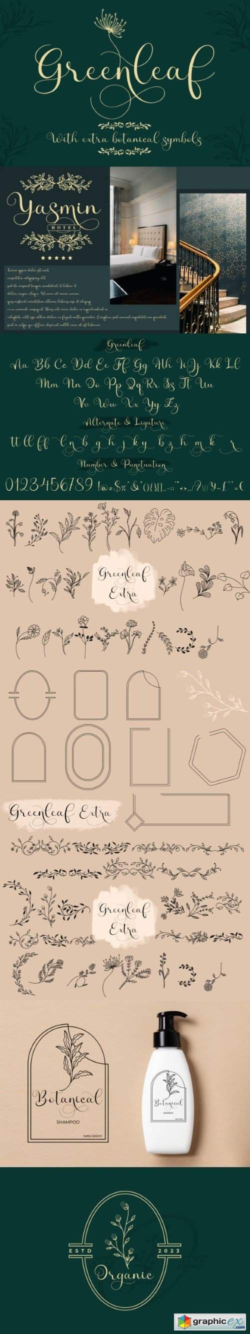 Greenleaf Script Font