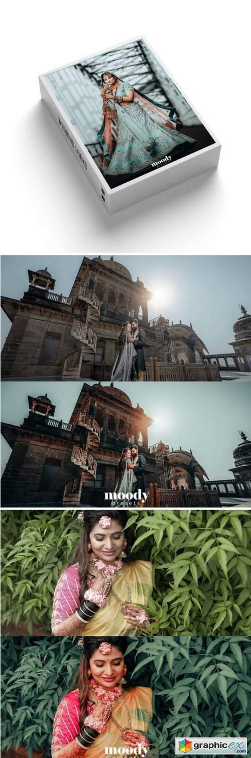 Moody Presets - Wedding Looks Presets